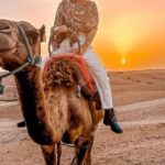 Agafay Desert Camel Ride & Sunset & Dinner - The Camel Ride Experience