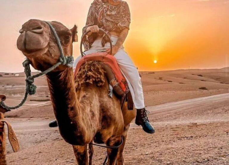 Agafay Desert Camel Ride & Sunset & Dinner - The Camel Ride Experience