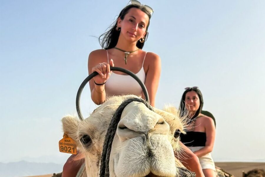 Agafay Desert Escape: Sunset Dinner, Pool & Quad/Camel - An In-Depth Look at the Agafay Desert Escape Experience
