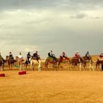 Agafay Desert : Quad Ride, Camel Experience & Dinner Show - Detailed Review of the Agafay Desert Tour