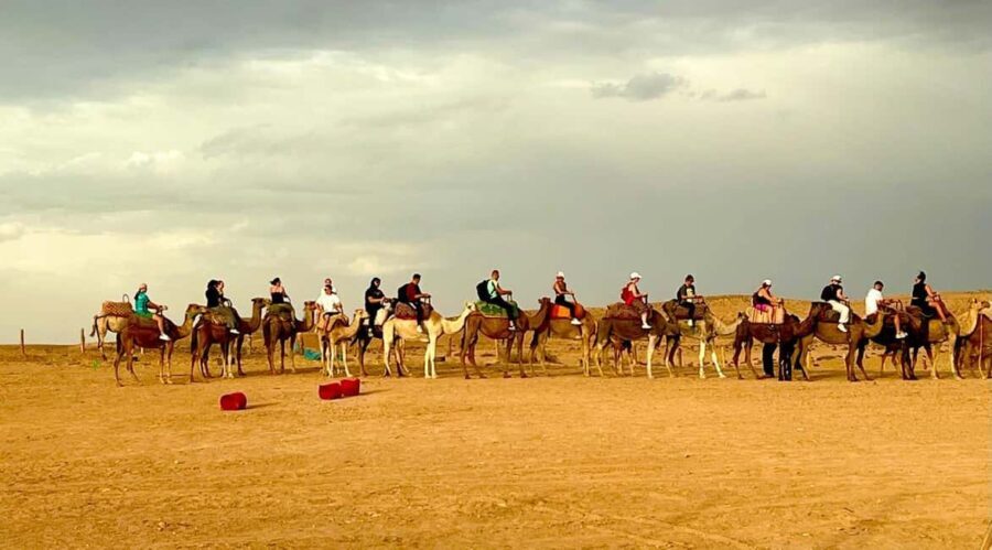 Agafay Desert : Quad Ride, Camel Experience & Dinner Show - Detailed Review of the Agafay Desert Tour