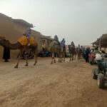 Agafay Desert Sunset Camel ride Experience with Dinner - Why This Tour Offers Good Value