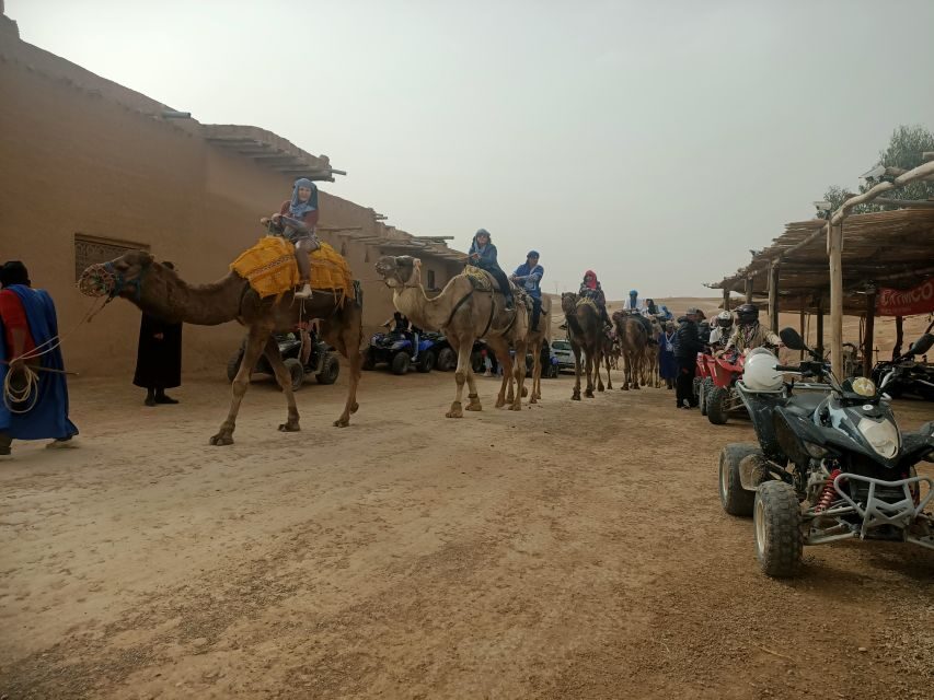 Agafay Desert Sunset Camel ride Experience with Dinner - Why This Tour Offers Good Value