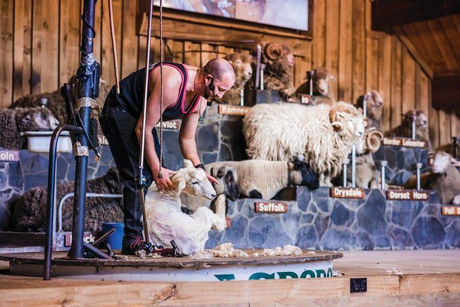 Agrodome Farm Experience including Farm Show and Farm Tour - Rotorua - Additional Highlights