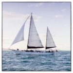 Airlie: Adults Only Sunset Sail with Aperol Spritz/Antipasto - The Sunset and Scenic Highlights