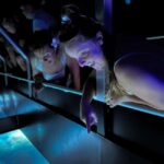 Airlie Beach: Glass-Bottom Boat Night Tour - What You’ll See and Learn