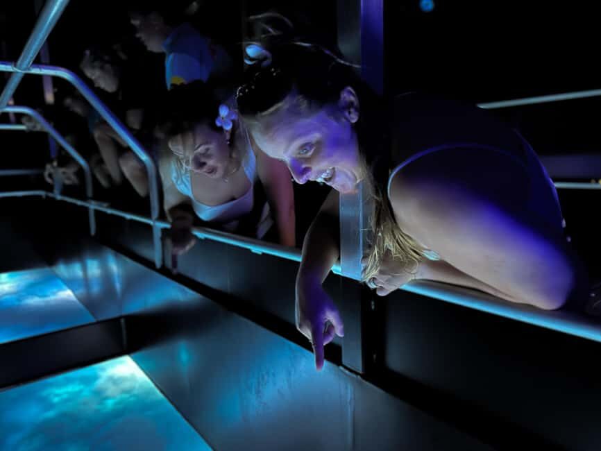 Airlie Beach: Glass-Bottom Boat Night Tour - What You’ll See and Learn