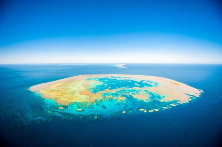 Airlie Beach: Great Barrier Reef Snorkel from Shute Harbour - The Experience Beyond the Reef