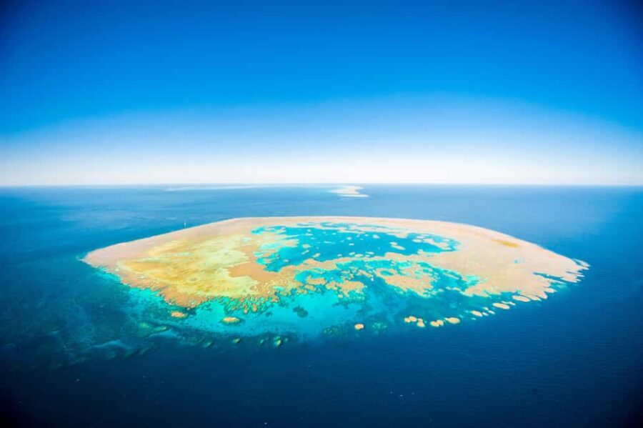 Airlie Beach: Great Barrier Reef Snorkel from Shute Harbour - The Experience Beyond the Reef