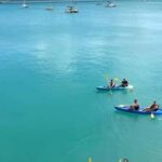 Airlie Beach: Half Day Turtle Tour Sea Kayaking Adventure - Why This Tour Could Be a Fantastic Choice