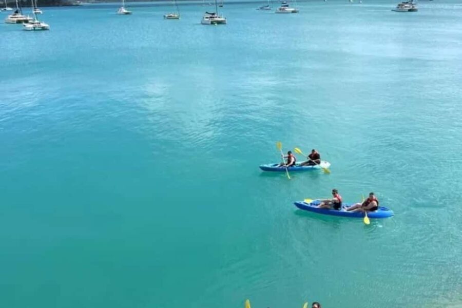 Airlie Beach: Half Day Turtle Tour Sea Kayaking Adventure - Why This Tour Could Be a Fantastic Choice