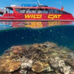 Airlie Beach: Outer Great Barrier Reef Snorkeling Day Trip - Authentic Experiences from Real Travelers