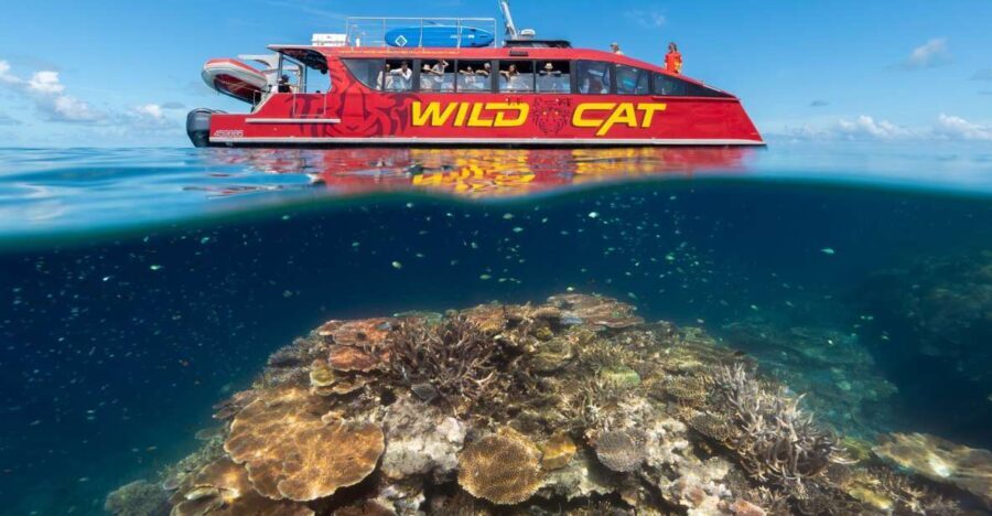 Airlie Beach: Outer Great Barrier Reef Snorkeling Day Trip - Authentic Experiences from Real Travelers