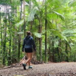 Airlie Beach: Waterfall & Bushwalk Eco Adventure Whitsundays - Natural Beauty and Natural Wonders