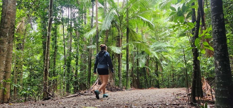 Airlie Beach: Waterfall & Bushwalk Eco Adventure Whitsundays - Natural Beauty and Natural Wonders