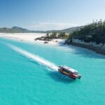 Airlie Beach: Whitehaven Full-Day Eco-Cruise with Buffet - The Verdict: Is It Worth the Price?