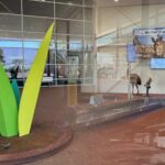 Airport Shuttle Accommodation to Airport - Key Points