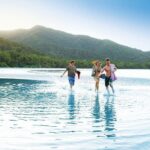 AIRPORT TRANSFER between Cairns Airport & Port Douglas (6am-5pm) - Detailed Breakdown of the Journey