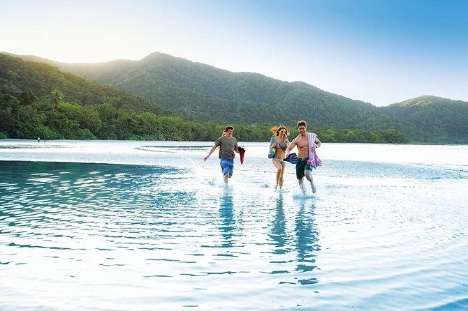 AIRPORT TRANSFER between Cairns Airport & Port Douglas (6am-5pm) - Detailed Breakdown of the Journey