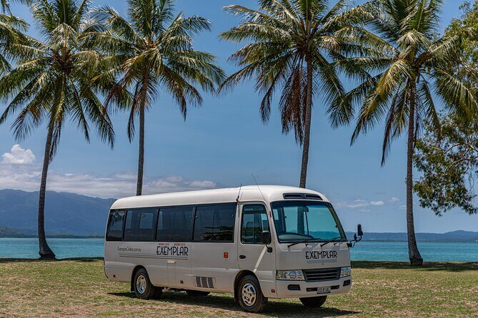 Airport Transfers between Cairns Airport and Palm Cove - Why Choose This Cairns to Palm Cove Airport Transfer?