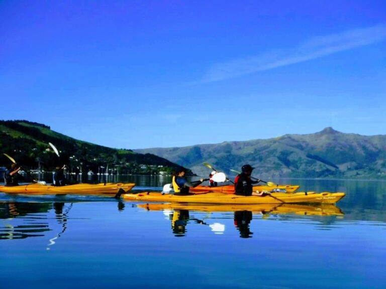 Akaroa: Akaroa Marine Reserve Sea Kayaking Tour - The Itinerary and Experience Breakdown