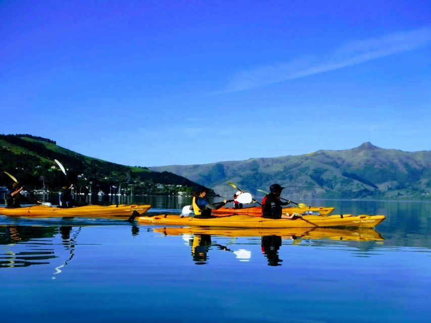 Akaroa: Akaroa Marine Reserve Sea Kayaking Tour - The Itinerary and Experience Breakdown