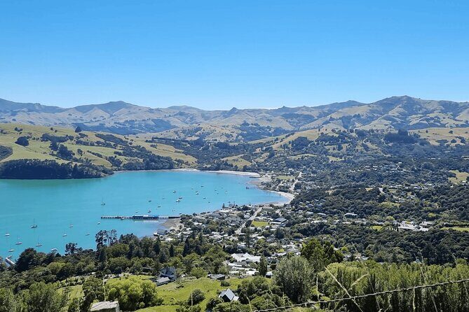 Akaroa and Akaroa Dolphins Day Tour - Analyzing the Cost and Value