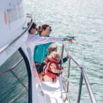 Akaroa Dolphins ~ Harbour Nature Cruise - The Value of This Experience