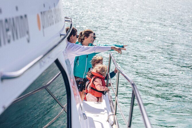 Akaroa Dolphins ~ Harbour Nature Cruise - The Value of This Experience