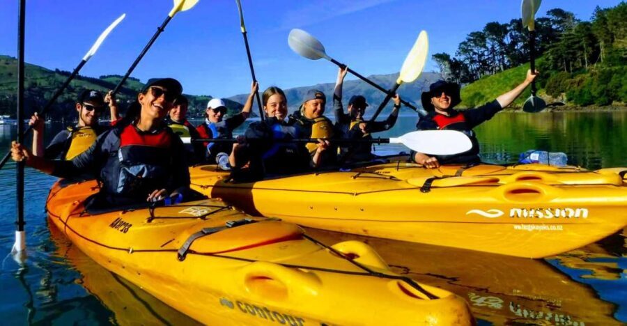 Akaroa: Electric Mountain Bike and Sea Kayak Adventure - The Value and Pricing Perspective