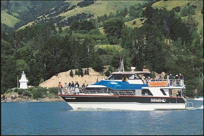 Akaroa Full Day Sightseeing Tour from Christchurch - Value for Money