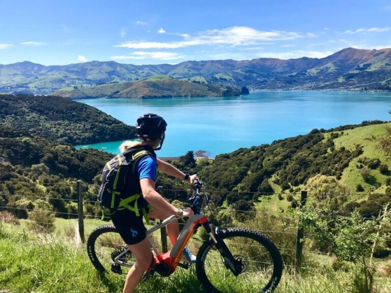 Akaroa: Guided Electric Mountain Bike Tour-Lava Loop - The Experience in Action: A Typical Ride