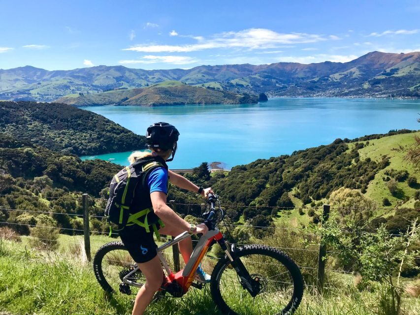 Akaroa: Guided Electric Mountain Bike Tour-Lava Loop - The Experience in Action: A Typical Ride