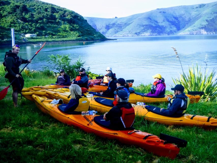 Akaroa: Guided Sunrise Sea Kayaking Tour - Why This Tour Excels