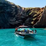 Akaroa Harbour 2-Hour Dolphin Nature Cruise - The Scenic Highlights: Nature’s Artistry