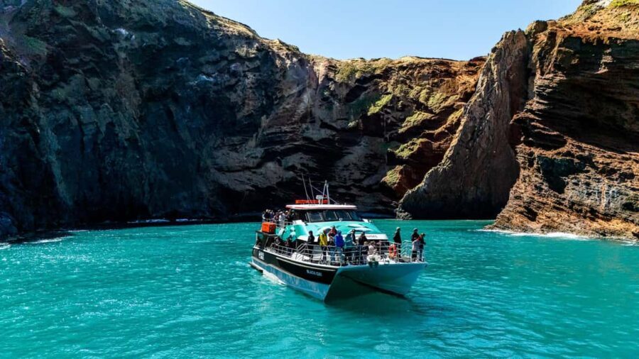 Akaroa Harbour 2-Hour Dolphin Nature Cruise - The Scenic Highlights: Nature’s Artistry