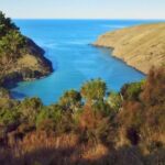 Akaroa: Pohatu Penguins Scenic Nature 2-Hour or 4-Hour Tour - Why This Tour Suits Different Travelers