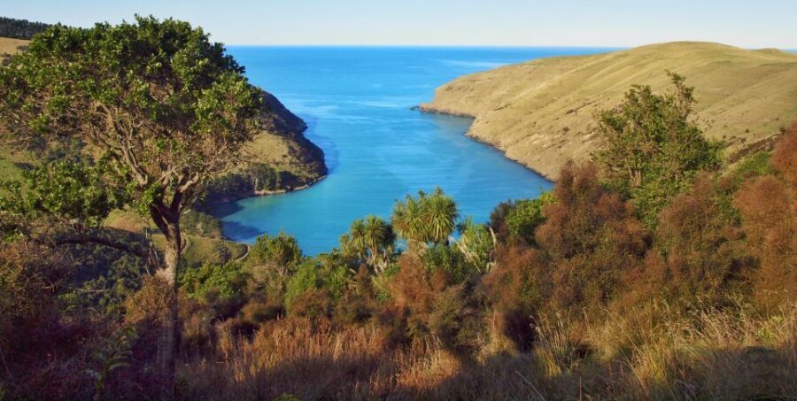 Akaroa: Pohatu Penguins Scenic Nature 2-Hour or 4-Hour Tour - Why This Tour Suits Different Travelers
