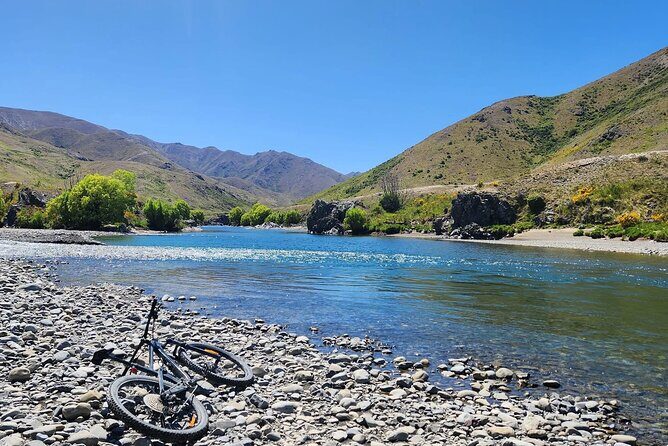 Akaroa Private Group Day Trip from Christchurch - Why This Tour Delivers Good Value