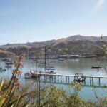 Akaroa Shore Excursion: Banks Peninsula, Christchurch City Tour and the International Antarctic Centre - Who Is This Tour Best For?