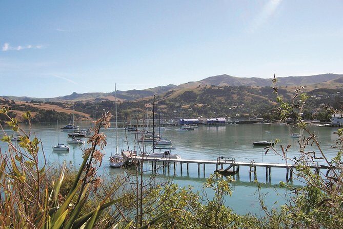 Akaroa Shore Excursion: Banks Peninsula, Christchurch City Tour and the International Antarctic Centre - Who Is This Tour Best For?