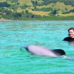 Akaroa Swim with Dolphins Tour from Christchurch - What’s Truly Special?