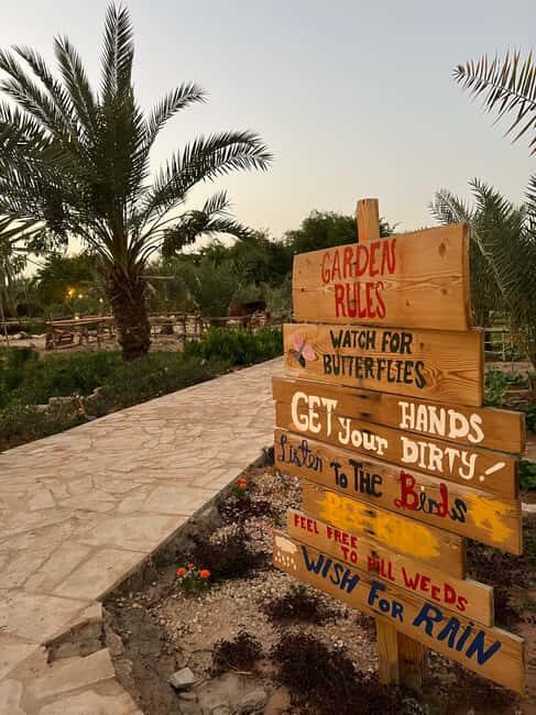 Al Amaaria: Storm Farm Entry Ticket - The Main Attractions