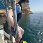 al fahal island snorkeling adventure - Key Points