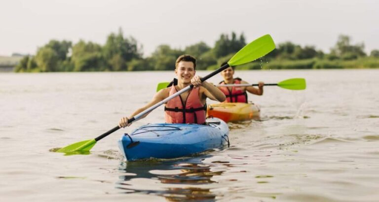 Al Khor: Mangrove Forest Kayaking Tour - Why This Tour Is Worth It