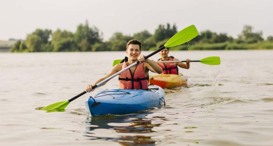 Al Khor: Mangrove Forest Kayaking Tour - Why This Tour Is Worth It