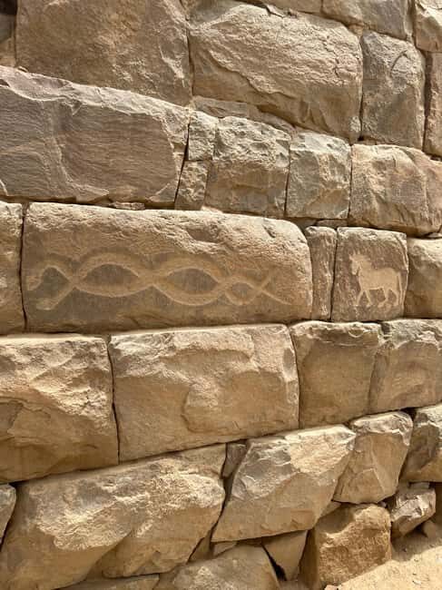 Al-Ukhdood Archaeological City Day Trip - Authentic Experiences and Insights from Travelers