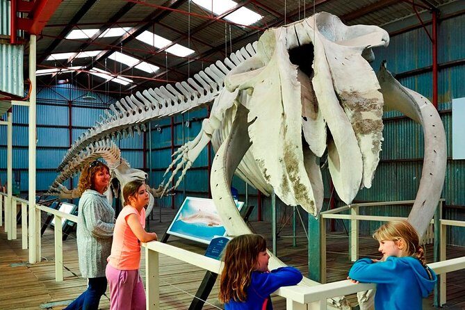Albany's Historic Whaling Station Admission Ticket - What You’ll Love About This Tour