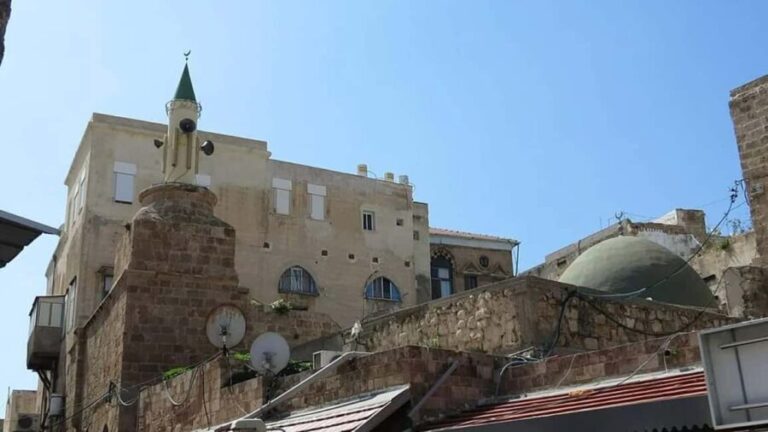 Alexandria : Rosetta Day Tour from Alexandria - Is This Tour Worth the Cost?