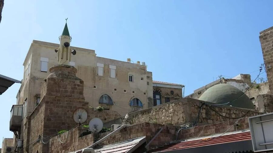 Alexandria : Rosetta Day Tour from Alexandria - Is This Tour Worth the Cost?
